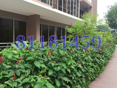 LORONG HOW SUN (D19), Condominium #81578932